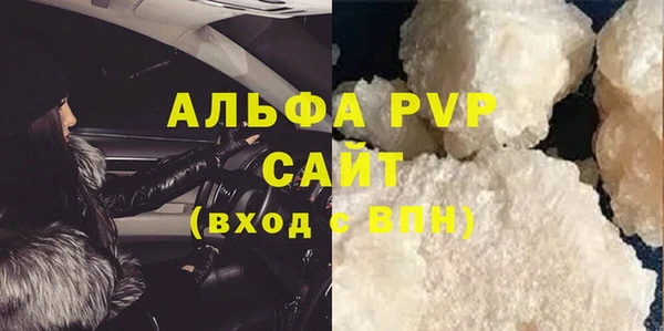 молекула духа Бородино