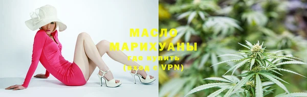 молекула духа Бородино
