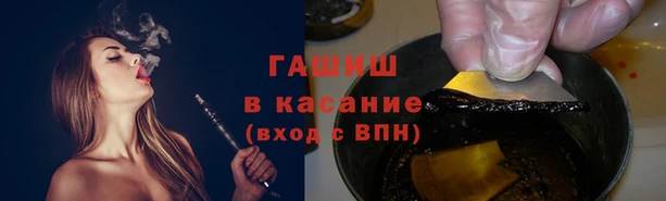 молекула духа Бородино