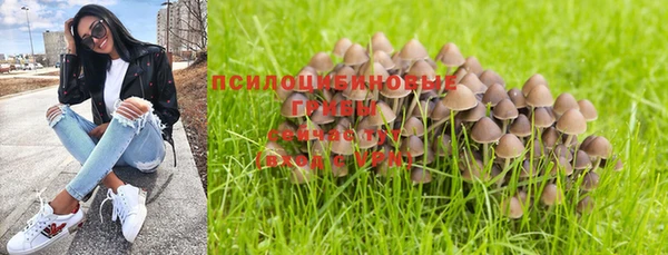 мдпв Бугульма