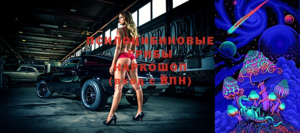 молекула духа Бородино