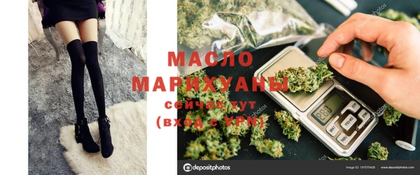 молекула духа Бородино