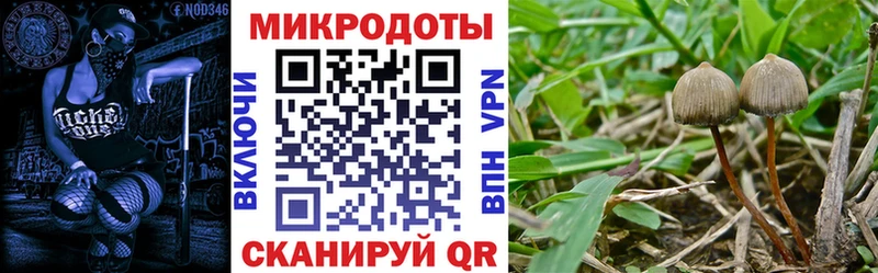 Галлюциногенные грибы Psilocybe  нарко площадка клад  Мураши 